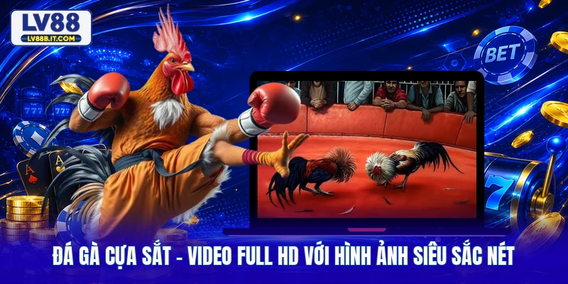 Đá Gà Cựa Sắt - Video Full HD Với Hình Ảnh Siêu Sắc Nét 